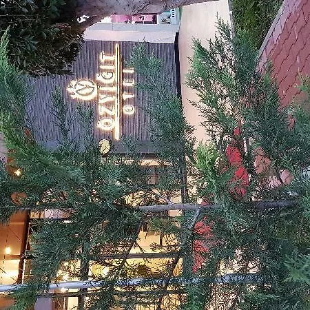 Ozyigit 3*
