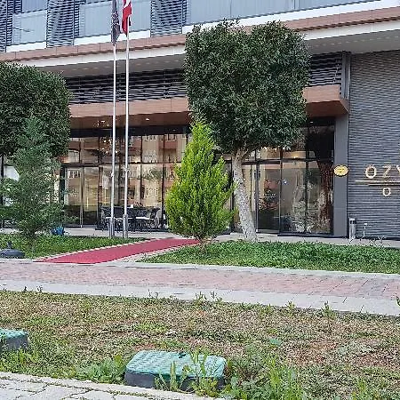 Ozyigit