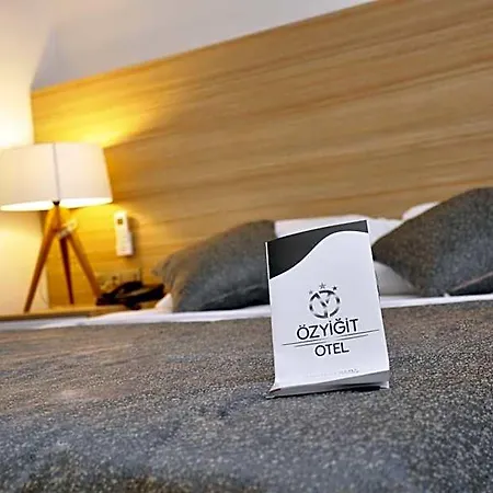 Ozyigit Hotel